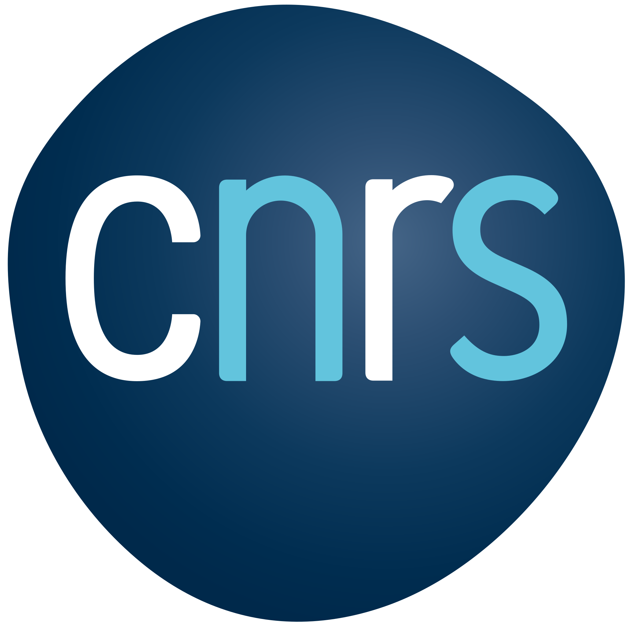 CNRS - Centre National de la Recherche Scientifique - LOGO Centre National de la Recherche Scientifique (CNRS) Logo